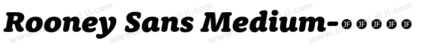 Rooney Sans Medium字体转换
